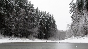 river, winter, trees, ice, snow, black and white (bw) - wallpapers, picture