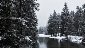river, winter, trees, snow