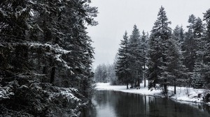 río, invierno, árboles, nieve