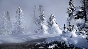 river, winter, snow, trees, roots, steam, fog