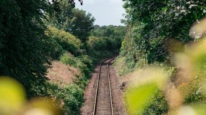 rails, railway, trees, bushes, nature