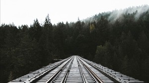 rails, railway, forest, fog, trees