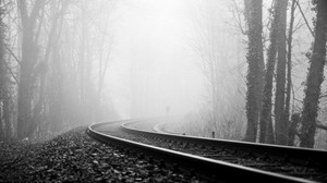 Schienen, Eisenbahn, Nebel, drehen, schwarz und weiß, düster