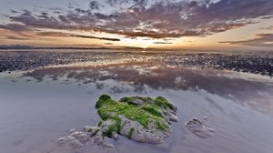 reefs, stone, moss, low tide, evening, dusk, puddle, water, clouds, sky