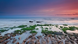 reefs, moss, sea, cloudy, seaweed - wallpapers, picture