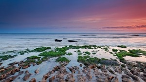 reefs, moss, sea, cloudy, seaweed