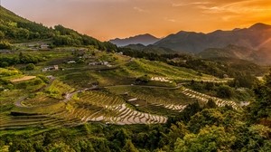 rice fields, hills, structure, cultivation, evening