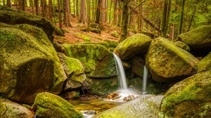 stream, stones, moss, forest, nature