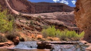 stream, mountain river, canyon, gorge, bushes - wallpapers, picture