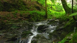 stream, river, forest, stones, murmur