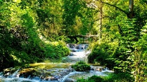 stream, river, flows, green, forest, light, trees, sunny, branches, cascades
