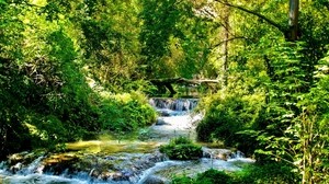 stream, river, flows, green, forest, light, trees, sunny, branches, cascades - wallpapers, picture