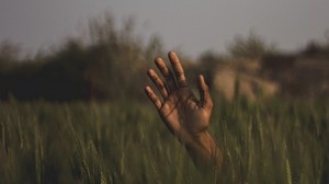 hand, grass, field, blur