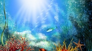 fish, underwater, algae, vegetation, light