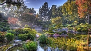 庭、池、植生、光、色、風景、風景