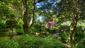 garden, green, fern, trees, moss - wallpapers, picture