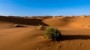sugar, desert, sand, sky - wallpapers, picture