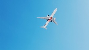 the plane, flight, palm trees, the sky, tropics - wallpapers, picture
