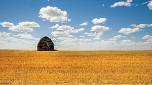 barn, field, hay, culture, clouds, agriculture