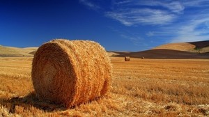 hay, bale, field, agriculture, straw