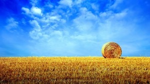 hay, bale, stack, field, horizon