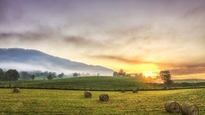 hay, bales, glade, the sun, mountains, fog, trees, August, serenity