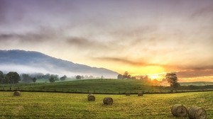 fieno, balle, radura, sole, montagne, nebbia, alberi, agosto, serenità