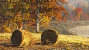 干草，大包，农业，秋天，田野