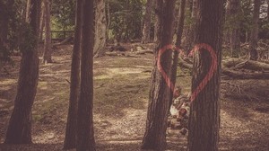 cuore, alberi, pittura, romanticismo - wallpapers, picture