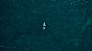 サーファー、サーフィン、トップビュー、海
