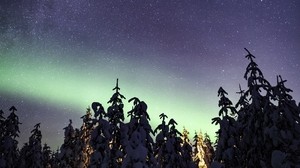 北极光，银河，繁星点点的天空，极光，树木，冬天
