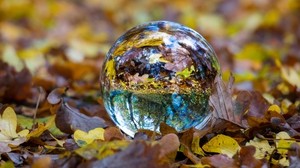 ball, glass, sphere, autumn, foliage