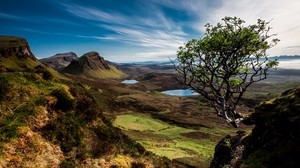 苏格兰，树木，山脉，湖泊 - wallpapers, picture