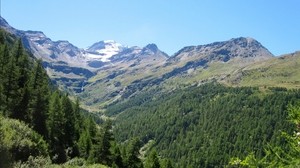 Switzerland, Alps, mountains, trees