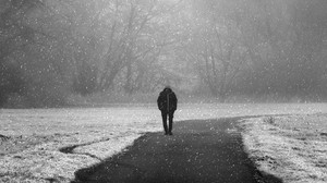 silhouette, alone, snowfall, fog, winter, snow