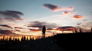 silhouette, sunset, loneliness, clouds, hill, healy, usa - wallpapers, picture