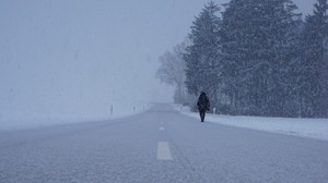 silhouette, winter, fog, blizzard, snowfall, road