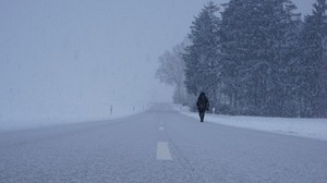 siluett, vinter, dimma, snöstorm, snöfall, väg