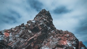 roccia, pietre, uccelli, isola di ballestas, Perù