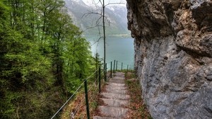 rock, lake, stairs, trees, descent, landscape