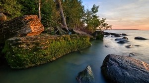 rocks, coast, moss, water, trees