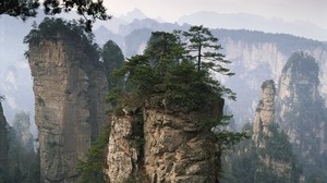 rocks, mountains, trees, peaks, vegetation, fog, coniferous, height