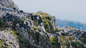 岩石，石头，苔藓，悬崖，岩石，山