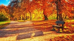 banco, otoño, parque, follaje