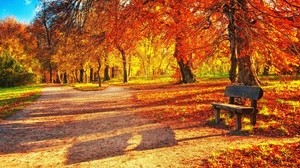 panchina, autunno, parco, fogliame