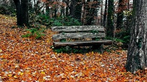 banco, otoño, parque, árboles