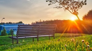 bench, park, sunlight, summer