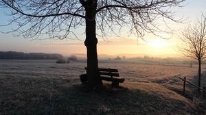 bänk, gryning, rimfrost, vinter, ensamhet, tystnad