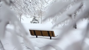 bench, winter, snow, branches, minimalism