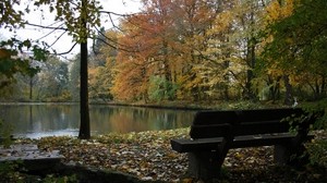 bank, see, herbst, wald, bäume, strom